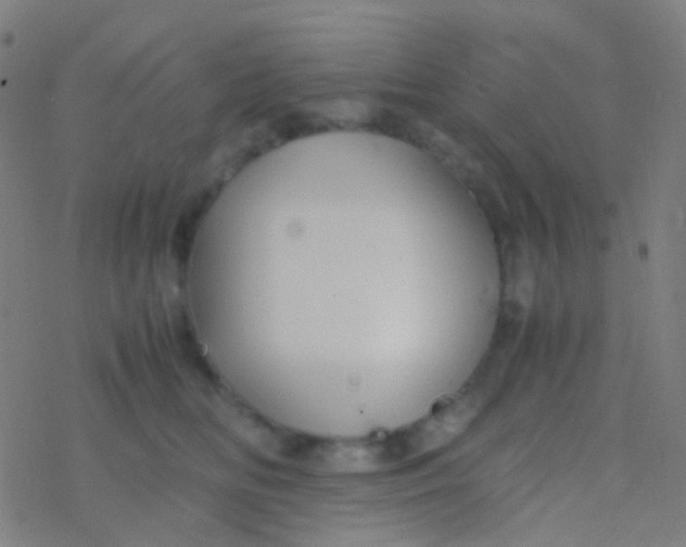 X0000077360518200611101642