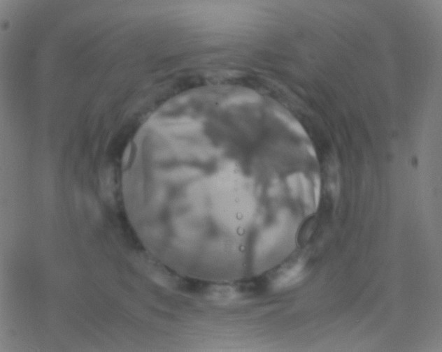 X0000077360519200611101642