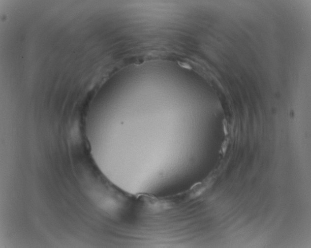 X0000077360520200611101642