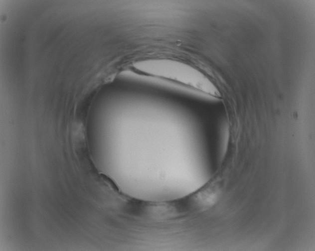 X0000077360521200611101642