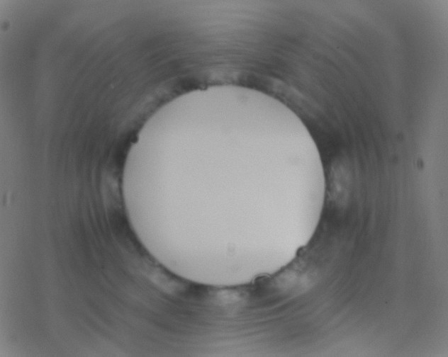 X0000077360522200611101642