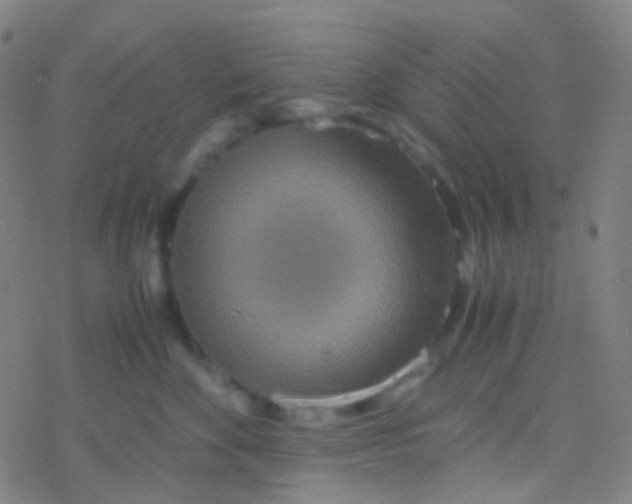 X0000077360524200611101642