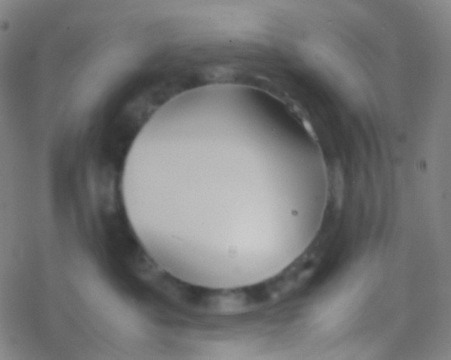 X0000077360525200611101642