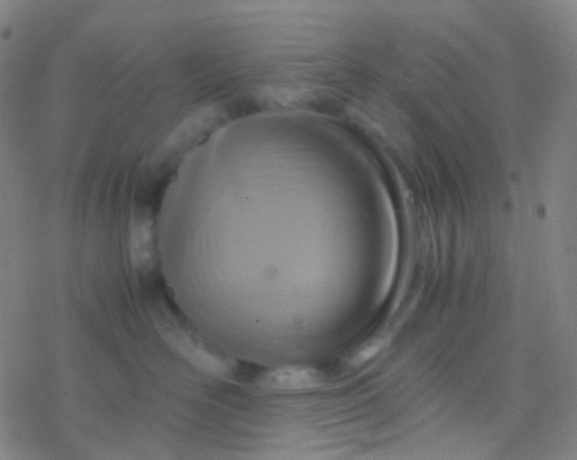 X0000077360526200611101642