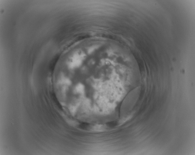 X0000077360527200611101642