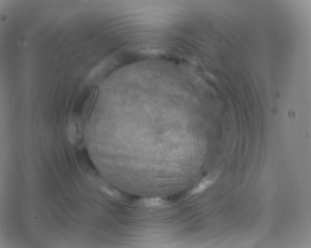 X0000077360528200611101642