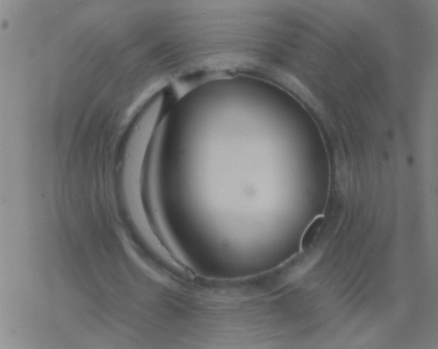 X0000077360530200611101641