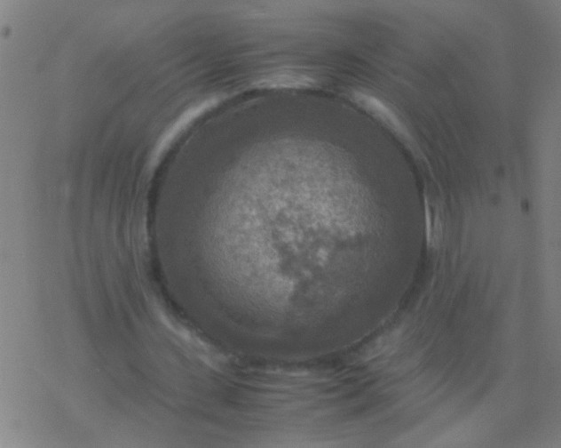 X0000077360531200611101641