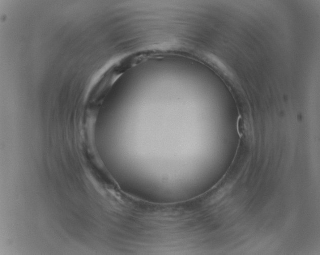 X0000077360532200611101641