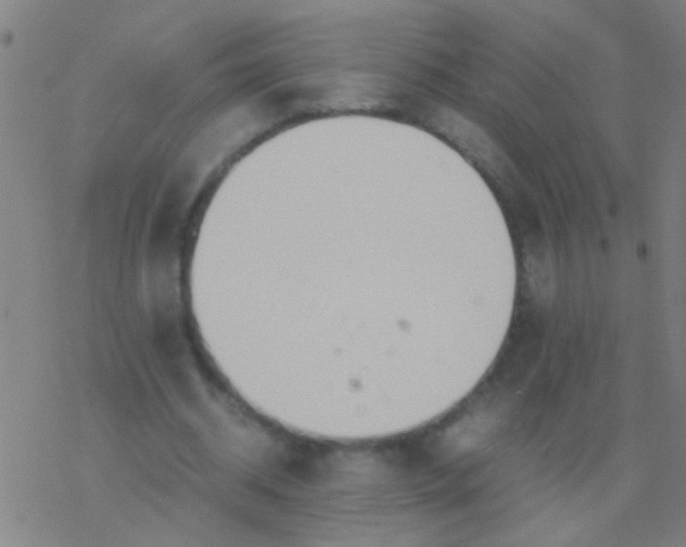 X0000077360534200611101641