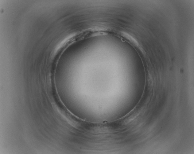 X0000077360535200611101641