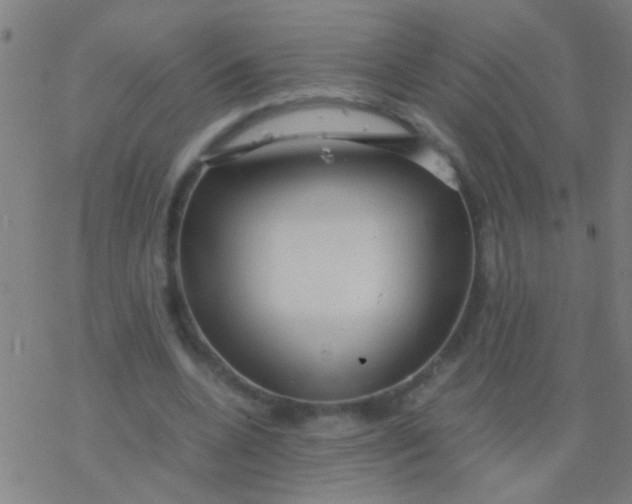 X0000077360536200611101641