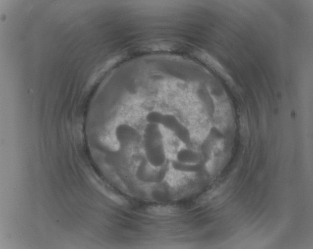 X0000077360537200611101641