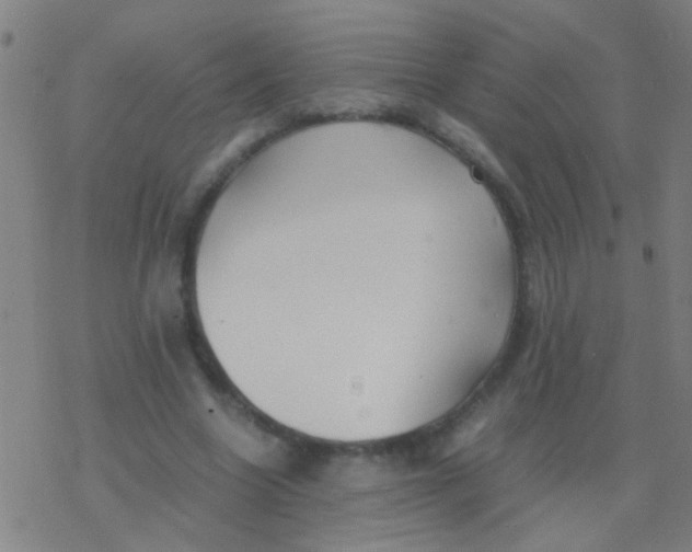 X0000077360538200611101641