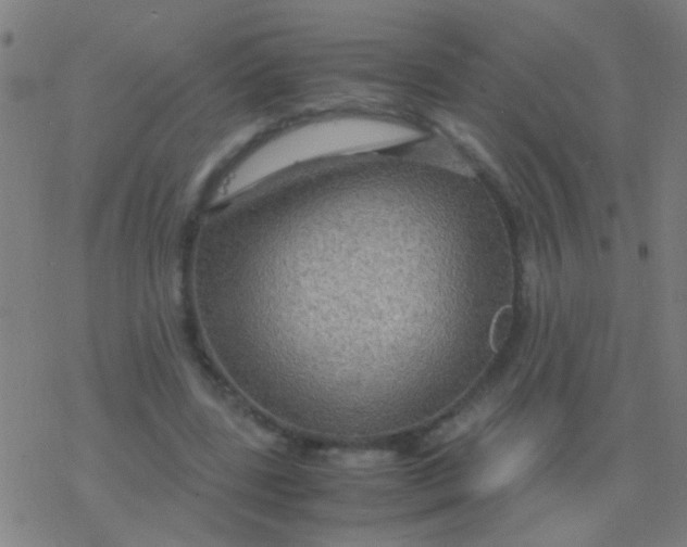 X0000077360539200611101641