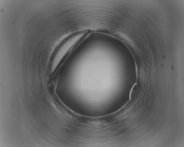 X0000077360540200611101641