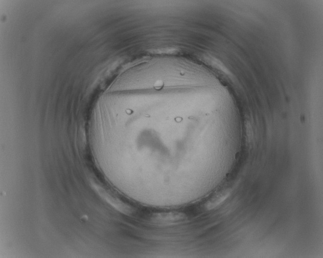 X0000077360541200611101641