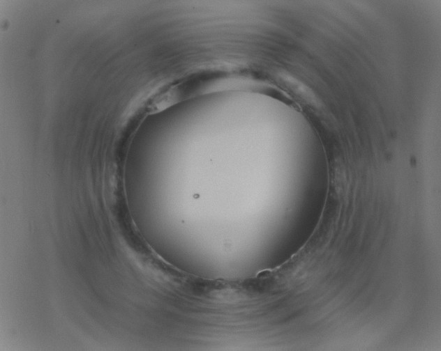 X0000077360544200611101642