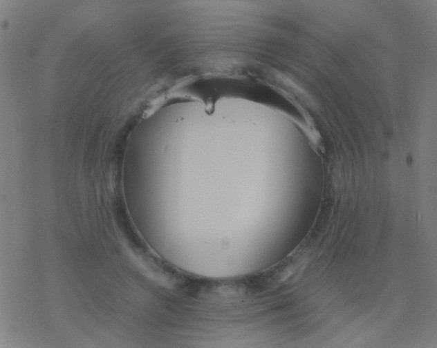 X0000077360546200611101642