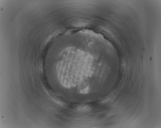 X0000077360547200611101642