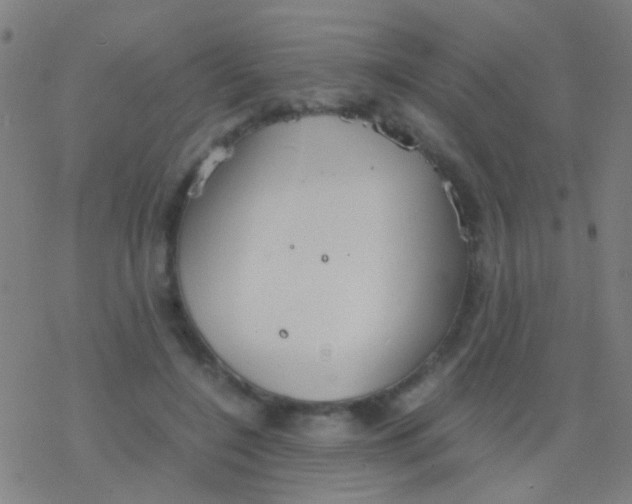 X0000077360548200611101642