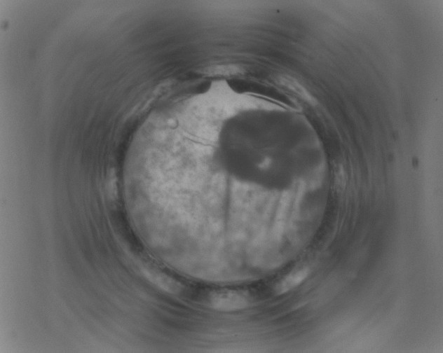 X0000077360549200611101642