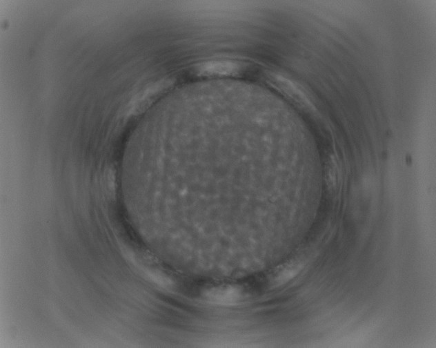 X0000077360551200611101642