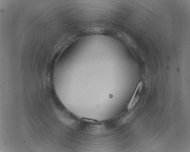 X0000077360552200611101642