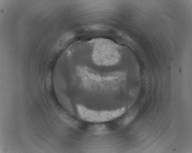 X0000077360554200611101642