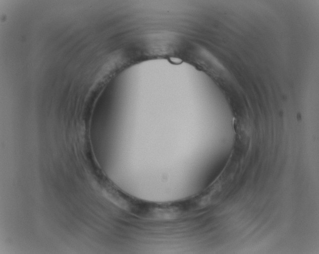 X0000077360556200611101642