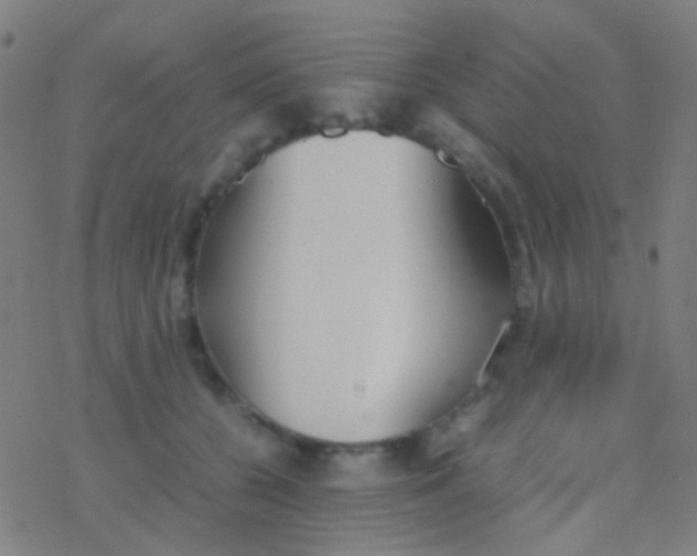 X0000077360560200611101642