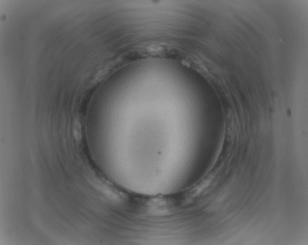 X0000077360562200611101642