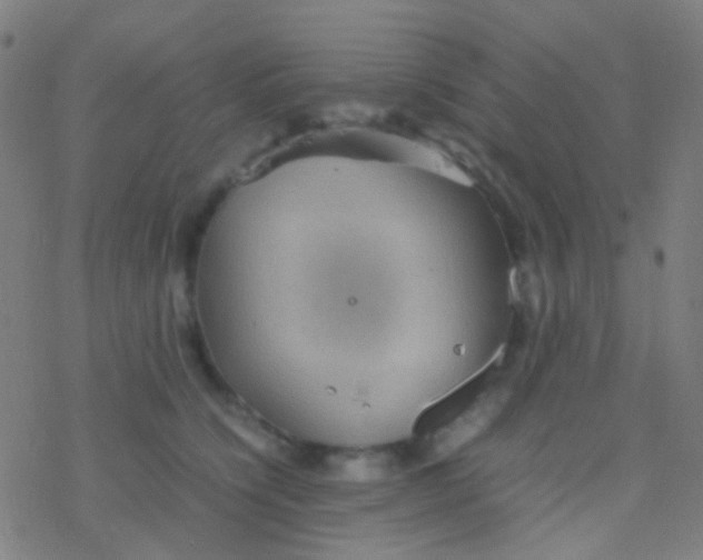 X0000077360564200611101642