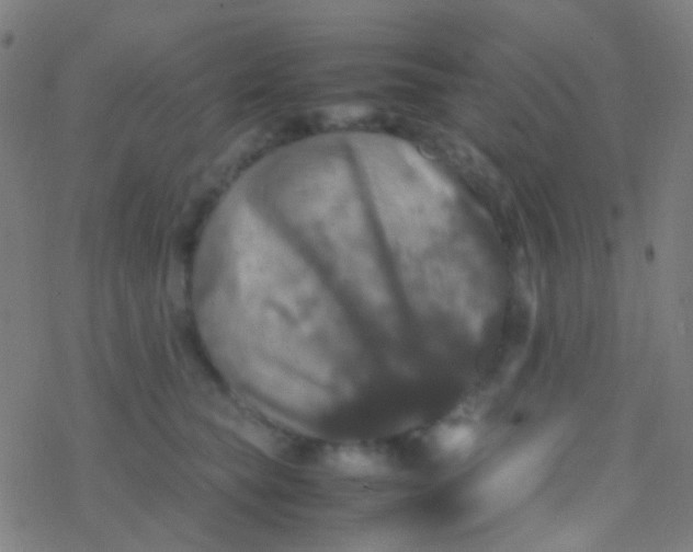 X0000077360565200611101642