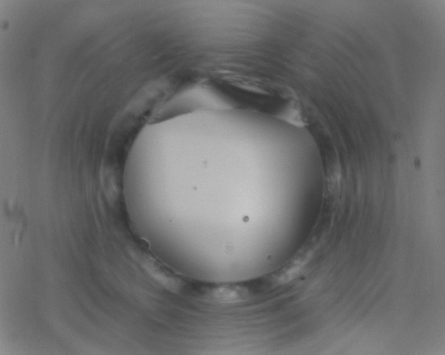 X0000077360566200611101642