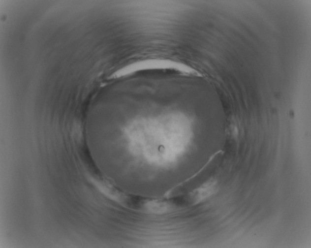 X0000077360568200611101642