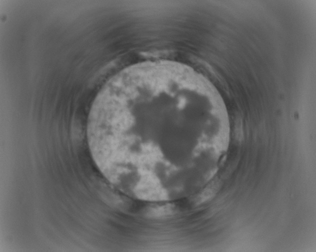 X0000077360569200611101642