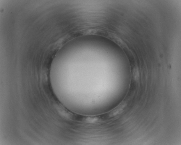 X0000077360570200611101642