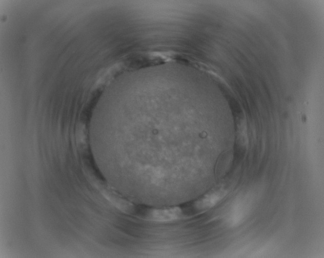 X0000077360571200611101642