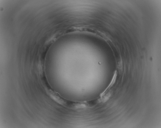 X0000077360572200611101642