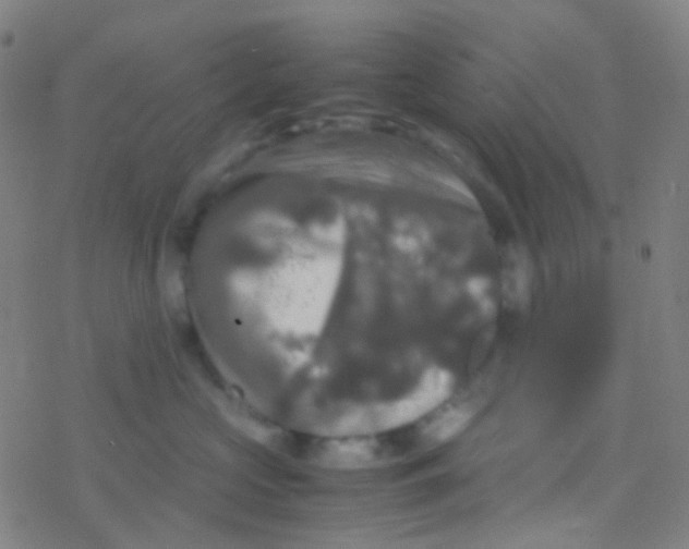 X0000077360573200611101642