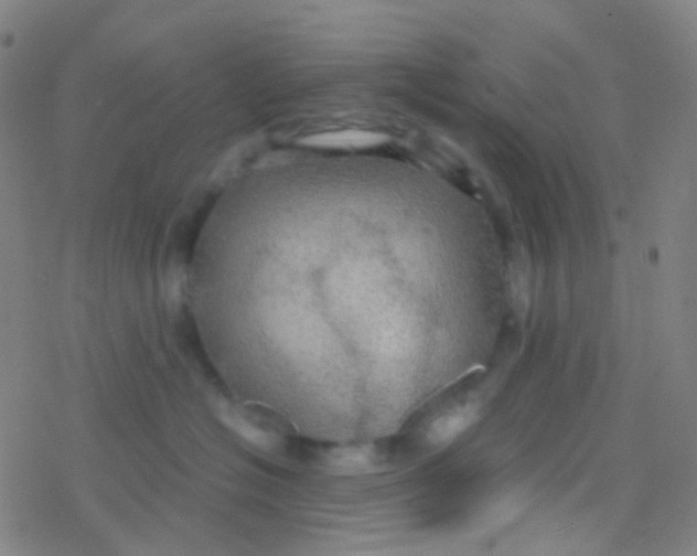 X0000077360574200611101642