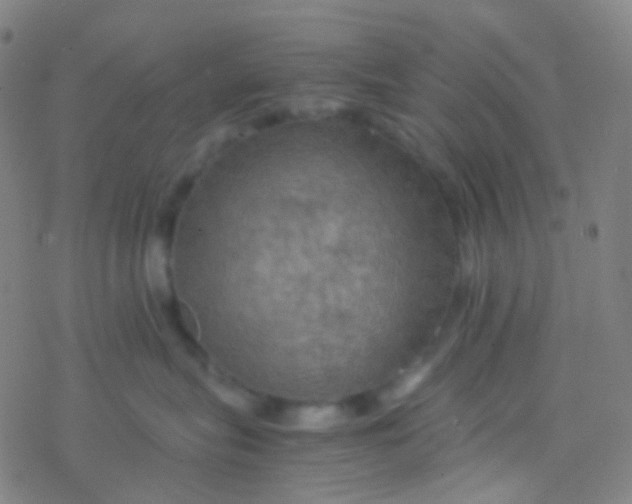 X0000077360575200611101642