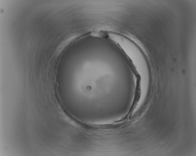 X0000077360577200611101641