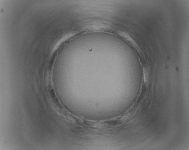 X0000077360579200611101641