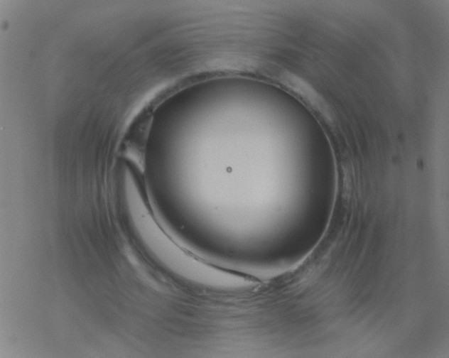 X0000077360580200611101641