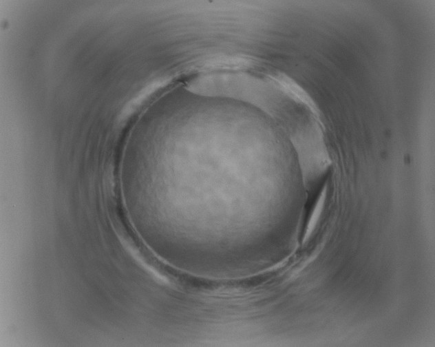 X0000077360581200611101641