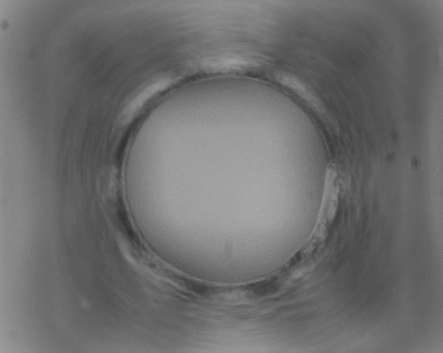 X0000077360583200611101641