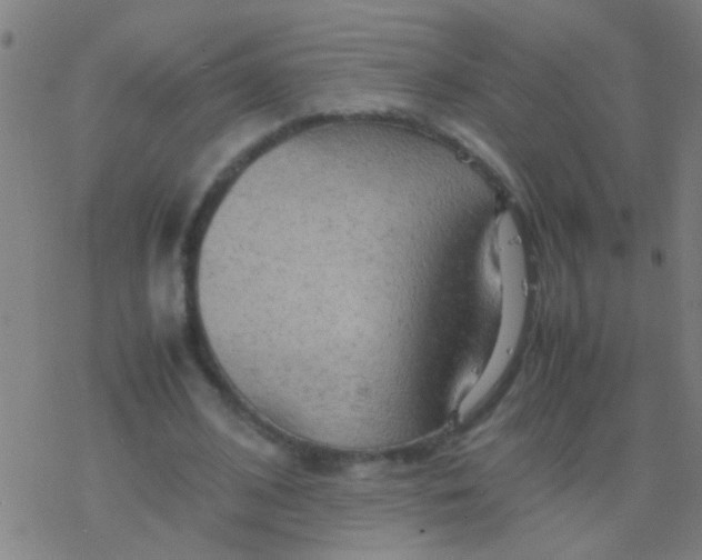 X0000077360584200611101641