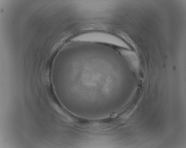 X0000077360585200611101641